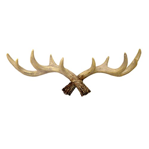 Tosbess Geweih Wandgarderobe Kleiderhaken Garderobenhaken - Hirsch Deko - Vintage